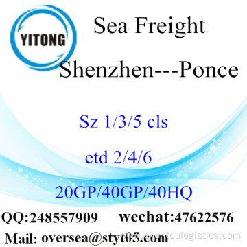 Shenzhen Port Sea Freight Shipping To Ponce